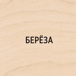 Берёза-Pinotex